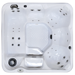 PZ-636L Hot Tub