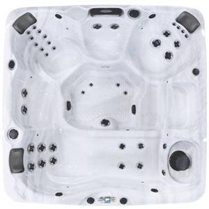 EC-840L Hot Tub